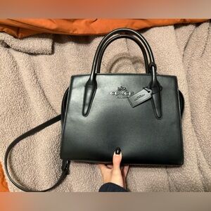 NEW large andrea Cary all bag